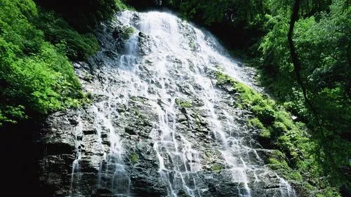 电子可靠性